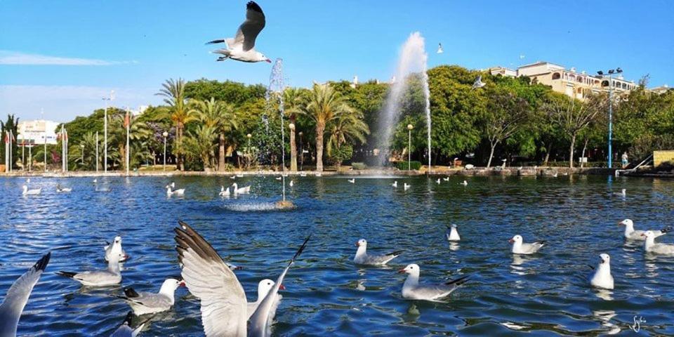 Torrevieja Experience Mar 2 Apartment Екстериор снимка
